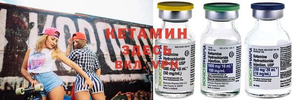 прущие грибы Зеленодольск