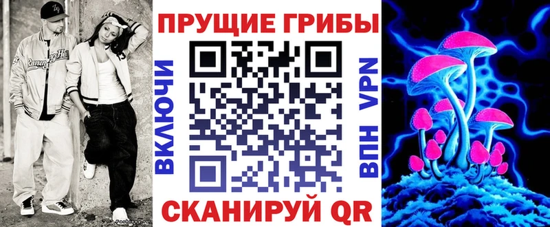 где купить наркотик  Гагарин  Галлюциногенные грибы Magic Shrooms 